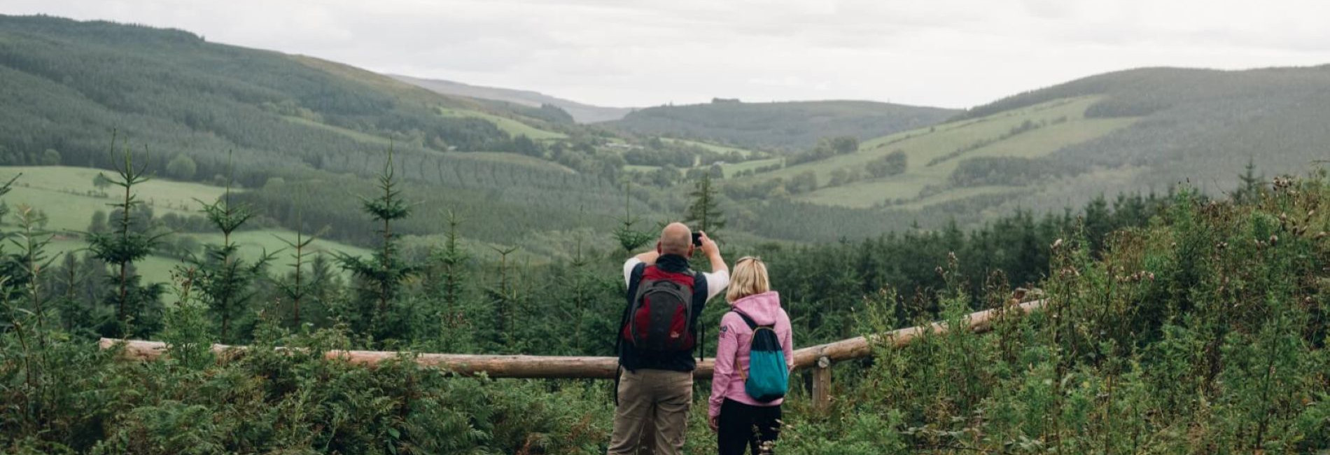Slieve bloom mountains county offaly 