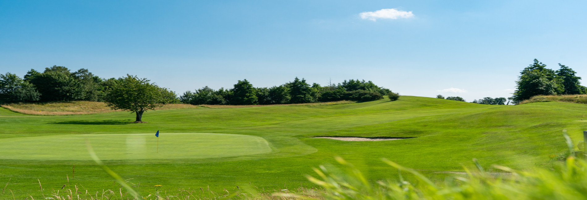 Birr Golf Club 