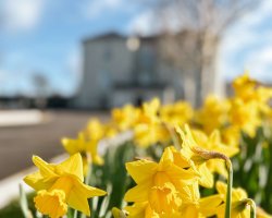 Choose between a 1 or 2-Night Stay, with dinner, Easter treats & more from only €280!